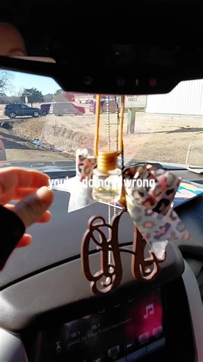 Revamp Your Car with This Easy Diffuser Hack