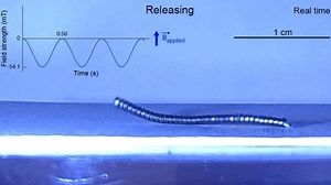 This magnetic robot could worm its way into human blood vessels