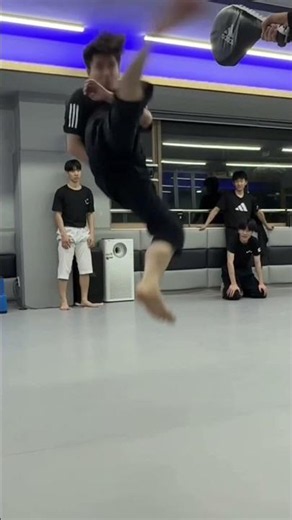 미트가 터질 듯한 발차기