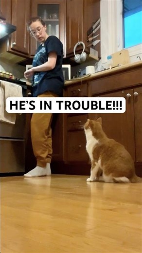 Bean Did Something BAD… (Part 1)