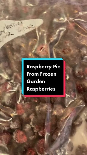 Raspberry Pie Recipe from Frozen Garden Raspberries