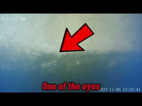 Rare Footage Of The HISTORIC Moby Dick Animatronic Under The Water To This Day