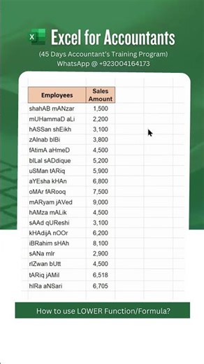 How to use LOWER Function/Formula in Excel?
