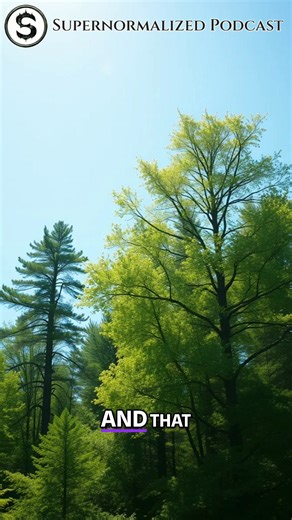 Embodiment isn't about escaping. It's about integrating the truths we discover on our journeys into our everyday lives, our movements, and interactions. Listen: https://supernormalized.com/186/ - Watch: https://supernormalized.com/186yt/ #Embodiment #MindBody #SelfDiscovery #DailyLife #Integration | Supernormalized Podcast