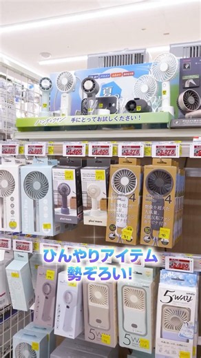 ✨💡Joshin's Top Picks💡✨