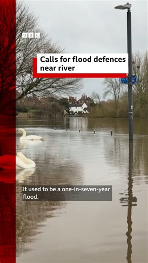 "We're one of the most flooded group of houses along the River Severn catchment area." Lynn Smith has lived in Diglis Avenue, Worcester, for 29 years. More here: https://bbc.in/4qwD1M6 | BBC Hereford & Worcester