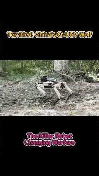 Terrified! China’s Q-UGV Wolf: The Killer Robot Changing Warfare