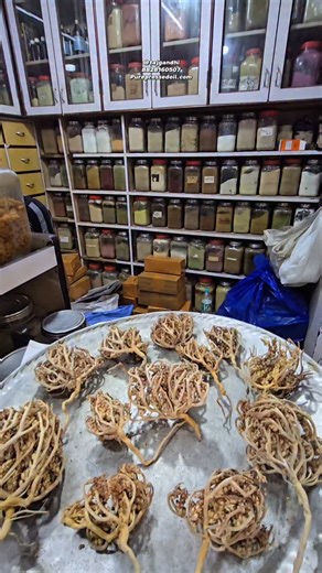 Taj Gandhi on Instagram: "Mariyam booti now available....!! .. Dm us for any queries or ordering any products! .. Dont forget to Share this reel with your friends, family members and anyone who needs best quality products at great prices! .. Contact Us: 📞 +91 8828160507 Instagram :- @tajgandhi YouTube :- @taj gandhi Website :- Purepressedoil.com .. 📍Mumbai, near Kalbadevi, opposite to Pydhonie police station, shop name:- Taj Gandhi, Shop no:- 420. .. #tajgandhi #tajgandhioils #tajgandhishop #t