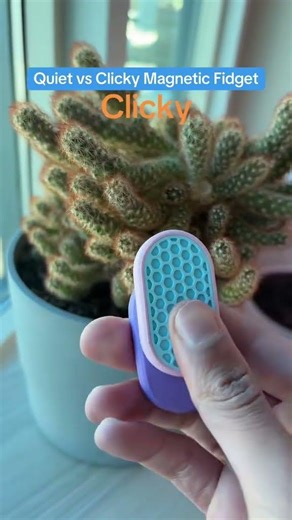 Customizable Magnetic Fidget Slider Sensory Toy