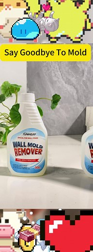Effective Mildew Removal and Long-Term Protection