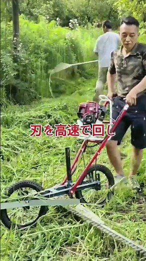 A Lawn Mower That Cuts Weeds Just By Pushing