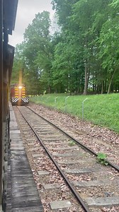 Come drive the train!! The Handy Dandy Railroad allows you to drive 3 laps around the park! Go to our website for details! | Denton FarmPark