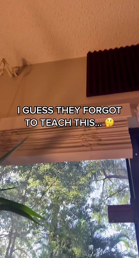 BradyYourTutor on TikTok