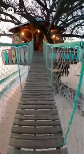 This treehouse is actually insane #treehouse #creative #shorts