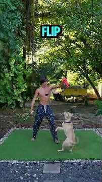 TEACHING MY DOG A BACKFLIP PART 3💀 #backflip