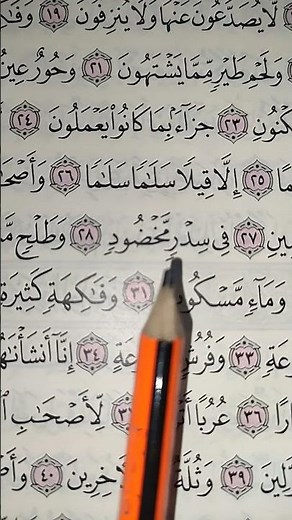 #تلاوة_صباحية #القرآن_الكريم #quran #تلاوة_خاشعة لا تهرب من القران فضيلة الدكتور ماهر المعيقلي