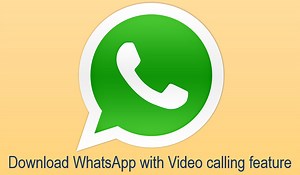 How to video call on whatsapp web