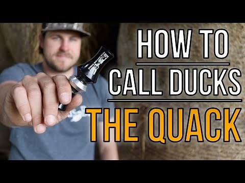 The Quack | How To Blow A Duck Call