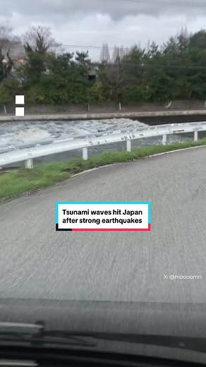 Series of Strong Earthquakes and Tsunami Waves Hit Japan