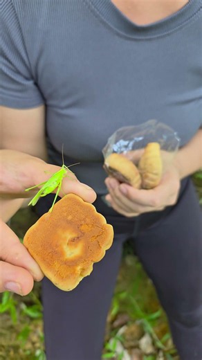 The kind girl shared her food with the grasshopper ❤️