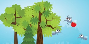 How can we trace malaria mosquitoes? - Science Journal for Kids