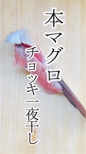 [Chatter] I tried making overnight-dried Bluefin tuna fillet! #cooking #easyrecipes #tonightsdinn...