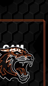 Today’s the day to give back to the RIT sport you love! RIT Athletics is crowdfunding from March 27-31 and our Tigers need you! Get in the Game and make a gift that will have an immediate impact on the student-athlete experience at Rochester Institute of Technology - Let’s see which team has the biggest cheering section! 🔗 https://give.rit.edu | RIT Alumni Association