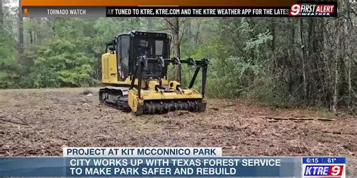 City of Lufkin initiates plan to mulch, burn areas of park to restore ecosystem, increase safety