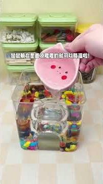 My hamster has an ocean-view room too! Oh my~ It’s so dreamy! #hamster #syrianhamster