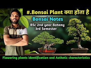 What is Bonsai | BSc 2nd year Botany 3rd Sem |Flowering Plant Identification and Aesthetic character