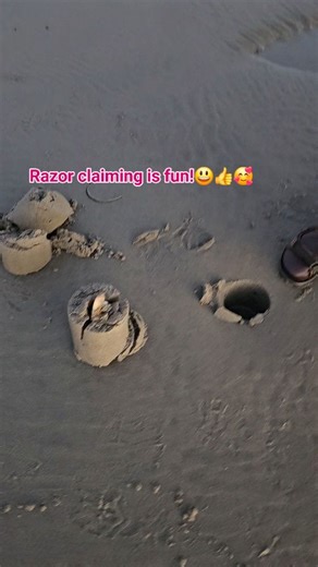 Razor clam is a type of marine bivalve mollusk known for its long, narrow, "razor-like" shell, strong muscular foot, and ability to burrow rapidly in sandy beaches. It's popular for clam chowder, next video is clsm chowder cooking. Correction on the title- it's Razor Clamming or digging 😃 🥰👍😍😃 #weekendgetaway #weekendvibes #saturday #razorclamming #washingtonstate #longbeachwashington #LetsGoPlaces #letsgo #adventuretime #Adventure2026 #allfollowersnonfollowersviewers #allactiveviewers #God