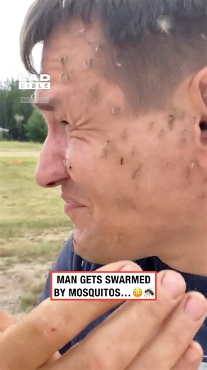I'm itchy just watching it 🦟😨 | LADbible