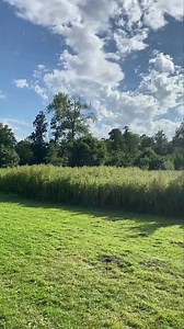 19 reactions · 3 comments | A very small snippet of our stunning grounds  All guests using the hotel facilities are welcome to explore the gardens free of charge. Also keep an eye out for all of the families of wildlife down by the river 廉 To book visit our website - norfolkmead.co.uk Call 01603 737531 or Email info@norfolkmead.co.uk | The Norfolk Mead Hotel, Venue and Spa | Facebook