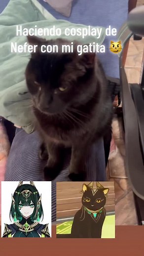 Proceso del cosplay de Nefer 💖 agradecimientos a mi gatita que se portó tan bien | Kami Susu