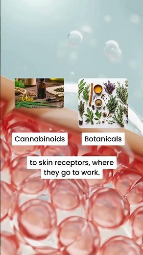 CBD Cooling Cream Max Power 4000 | Fast-Acting Relief Explained