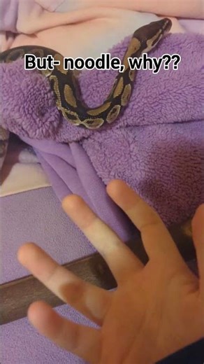 random clips of noodle lol