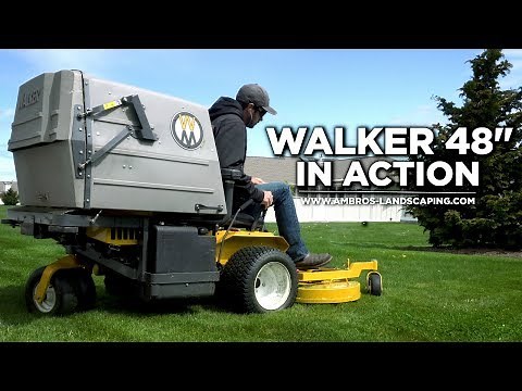 Walker Mower 48" Mulching Deck In Action! | T25i | No Music - Just Mowing