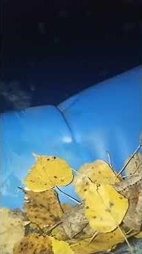 24 октября 2025 г.