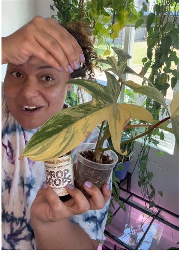 Revitalize Your Plants with Prop Drops and TLC