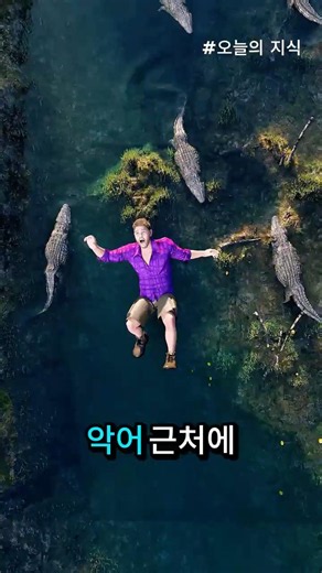 🐊 99% of people do the wrong thing if they fall near a crocodile — what would you do?
