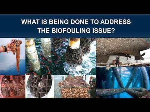 What is ultrasonic antifouling? How does it work?