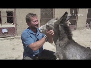CNN Heroes: Nowzad Dogs