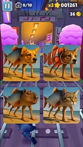 36K reactions · 114 shares | Guess the Italian brainrot animals #brainrot #italianbrainrot | Blaze Sphere | Facebook