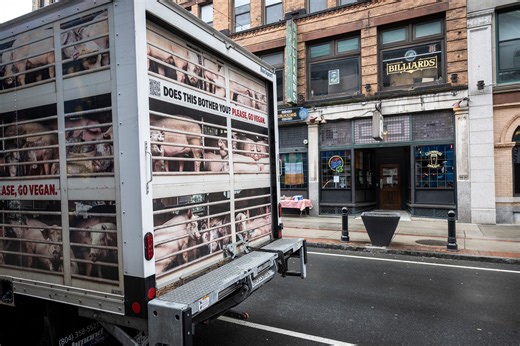 Customers defend Theodore’s BBQ in Springfield as PETA truck plays squealing pig sounds