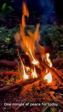 Relaxing piano for sleep, stress relief, study & deep focus.