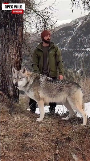 The Most Unpredictable Dog Breeds…#1 Fits In a Purse💀 #shorts