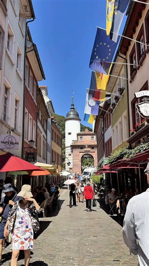 RESTAURANT FESTIVAL HEIDELBERG! 🤍 Das Konzept: An 14 Festivalabenden stehen verschiedene Heidelberger Restaurants und ihre ganz eigenen Ideen im Mittelpunkt. Von mehrgängigen Menüs über Flying Dinner bis hin zu komplett besonderen Konzeptabenden ist alles dabei. 📍 Heidelberg 🗓 01.–11. Oktober 2026 🍴 14 unterschiedliche Festivalabende 🎟 Tickets werden für jeden Abend einzeln gebucht Wichtig: Mittlerweile sind bereits 7 der 14 Abende ausverkauft! 🥹 So könnt ihr buchen: → Auf restaurantfestiv