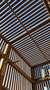 Great horned owl slo-mo action! 🎬 This patient has been recovering from a fracture in their right wing. While they are making steady progress, they still need more flight conditioning before they can be released back into the wild. 🦉 #supportwildlife #wildliferehab #greathornedowl #alberta | Alberta Institute for Wildlife Conservation