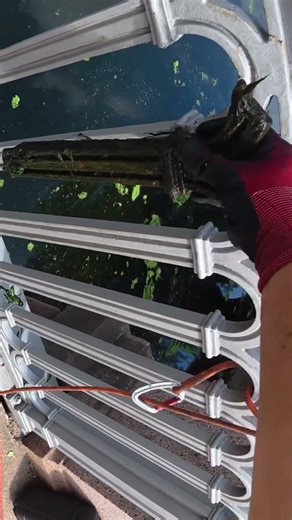 Otro pedazo de puente! 😱 #fypシ #pesca #pescamagnetica #viralshort