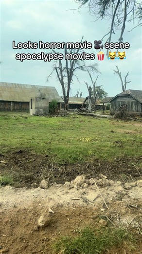 Top Apocalypse Movies That Will Haunt You